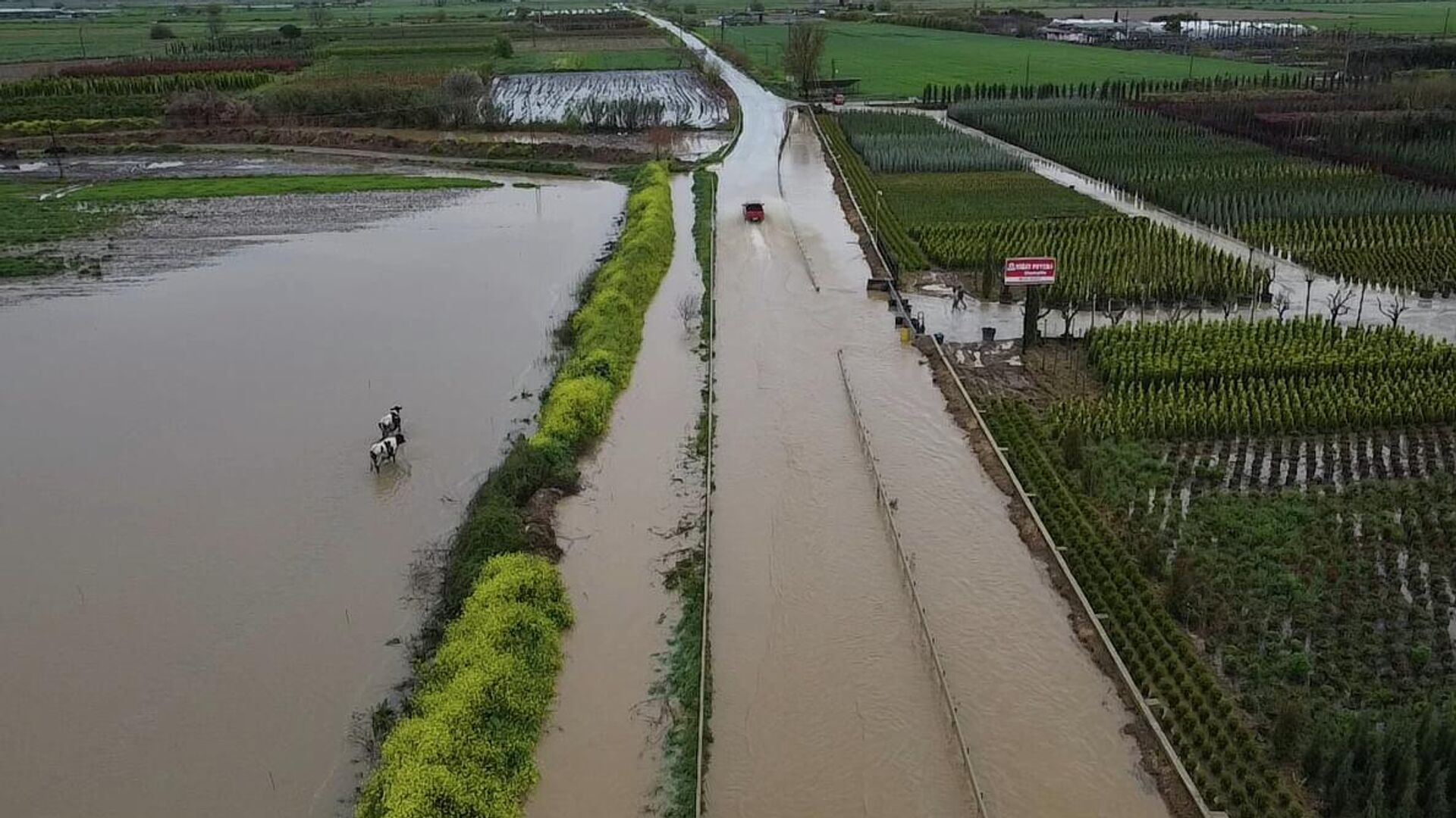 İzmir'in Ödemiş ilçesinde sağanak nedeniyle tarım arazileri ve kara yolu su altında kaldı. - Sputnik Türkiye, 1920, 04.04.2026