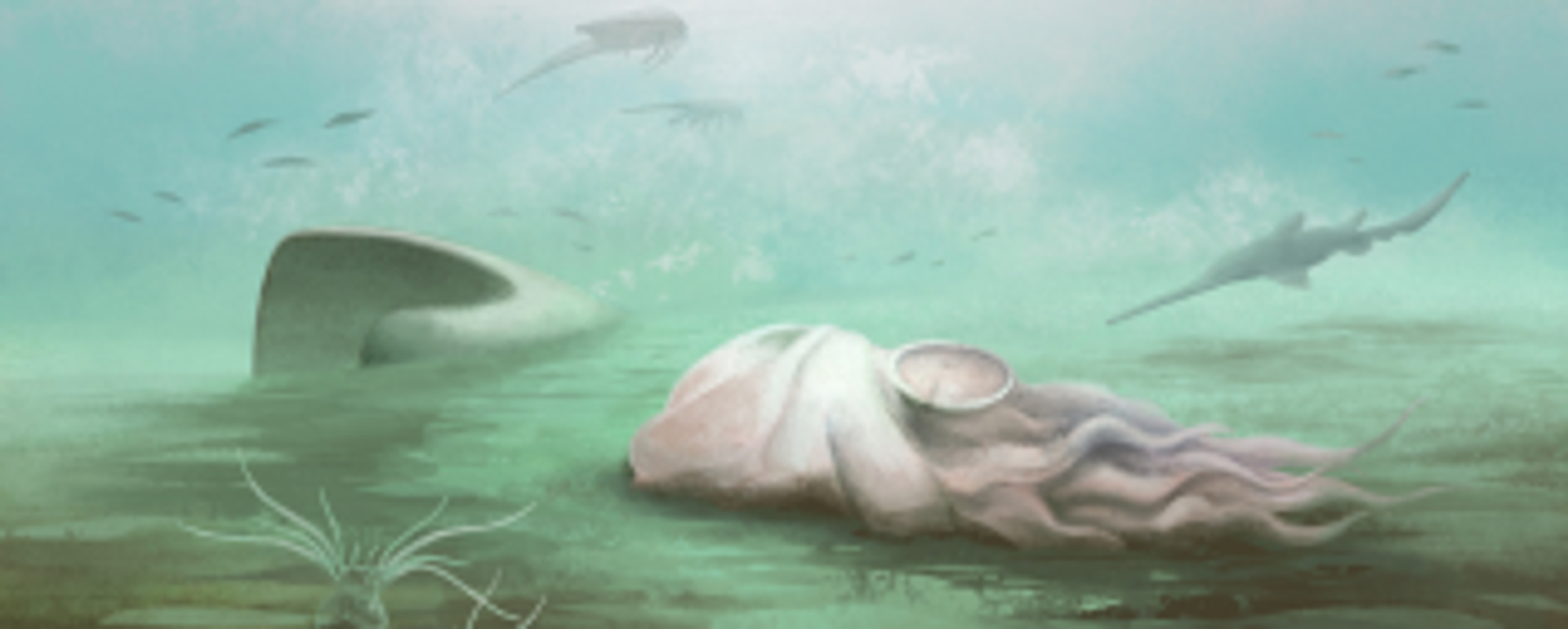 Pohlsepia mazonensis - Sputnik Türkiye, 1920, 10.04.2026