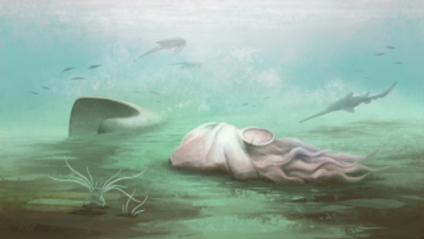 Pohlsepia mazonensis - Sputnik Türkiye