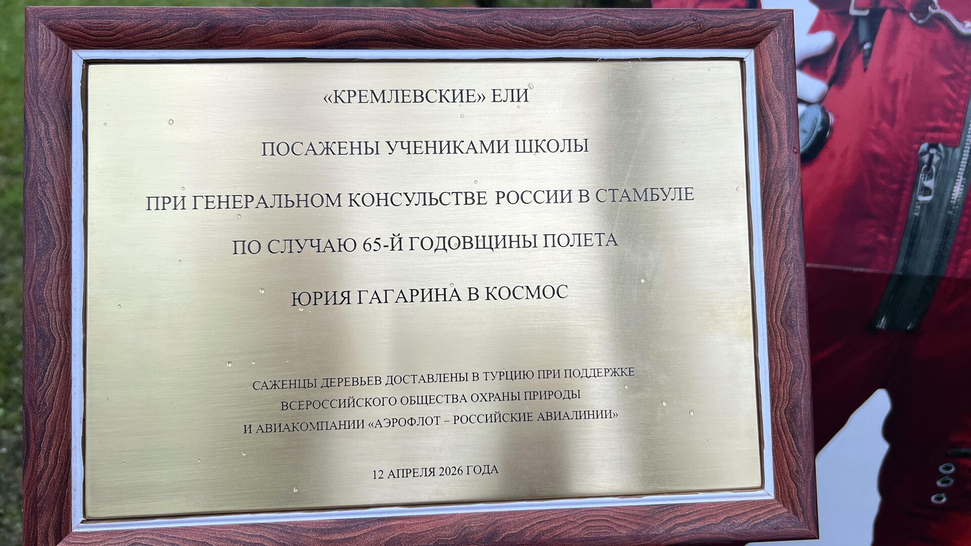 Rusya'nın İstanbul Başkonsolosluğu bahçesine, 12 Nisan Kozmonotlar Günü vesilesiyle Kremlin çamı fidanları dikildi - Sputnik Türkiye, 1920, 11.04.2026