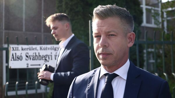 Peter Magyar - Sputnik Türkiye