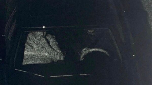 Gülistan Doku soruşturması - Sputnik Türkiye