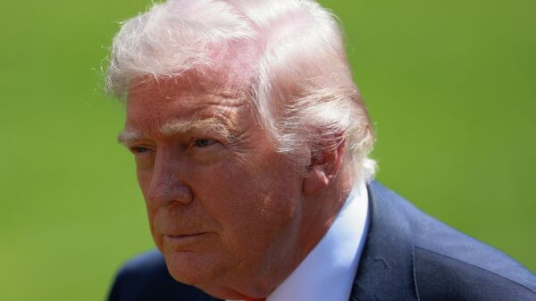 ABD Başkanı Donald Trump, - Sputnik Türkiye