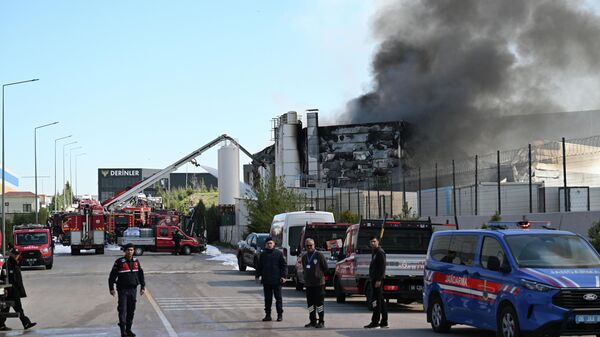 Ankara yangın - Sputnik Türkiye