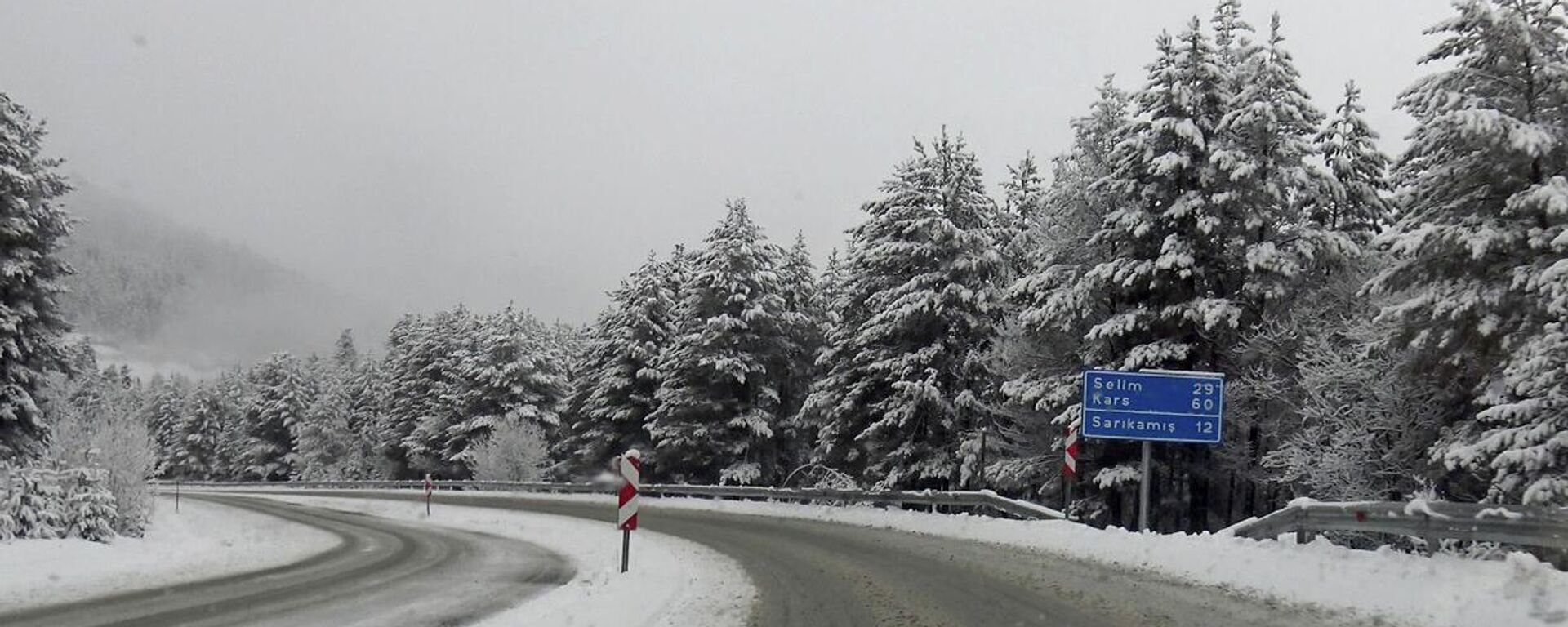 Kars'ın Sarıkamış ilçesinde kar yağışı - Sputnik Türkiye, 1920, 20.04.2026