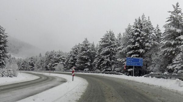 Kars'ın Sarıkamış ilçesinde kar yağışı - Sputnik Türkiye