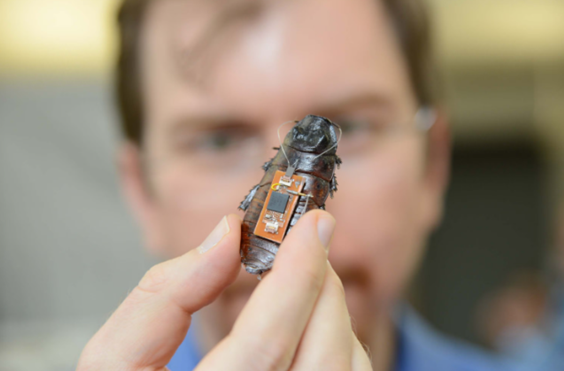 Alper Bozkurt / NCSU - Sputnik Türkiye, 1920, 22.04.2026