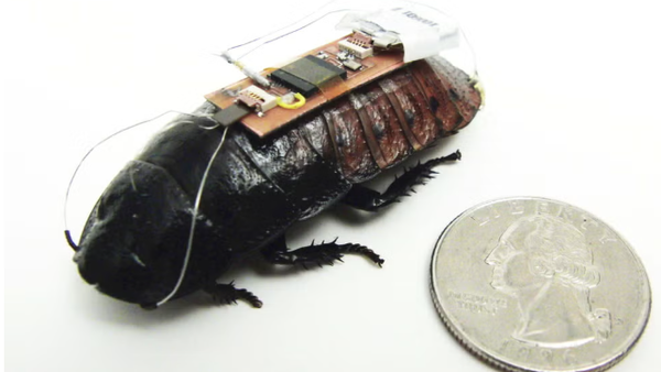 Alper Bozkurt / NCSU - Sputnik Türkiye