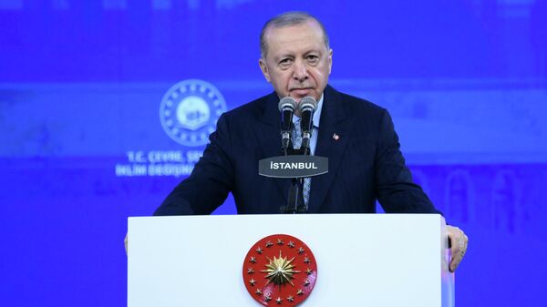 Cumhurbaşkanı Recep Tayyip Erdoğan - Sputnik Türkiye