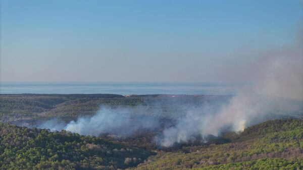Beykoz yangını - Sputnik Türkiye