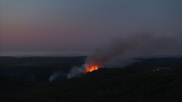 Beykoz orman yangını - Sputnik Türkiye