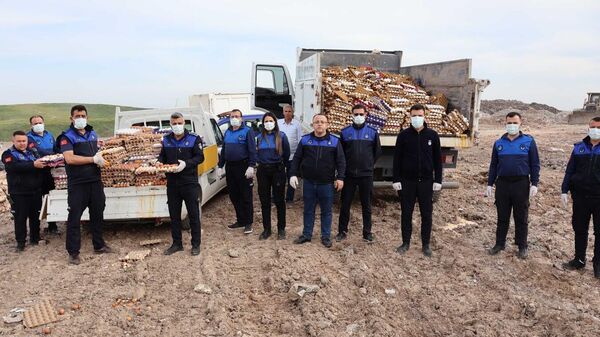 Yumurta imhası - Sputnik Türkiye