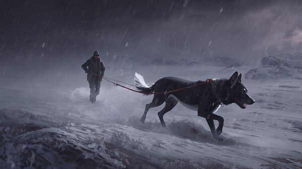 Antarktika'da bir köpek ve adam (Temsili Görsel) - Sputnik Türkiye