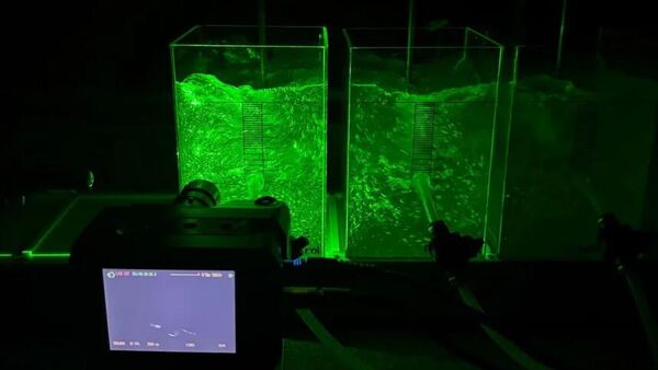 Experimental setup used by the scientists to measure the particle size of the PVC microplastics. Dr. Adriano Gonçalves dos Reis - Sputnik Türkiye