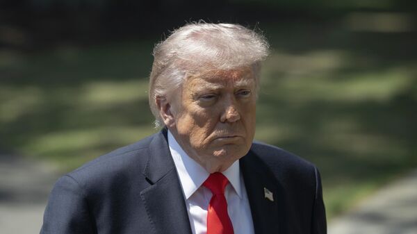ABD Başkanı Donald Trump - Sputnik Türkiye