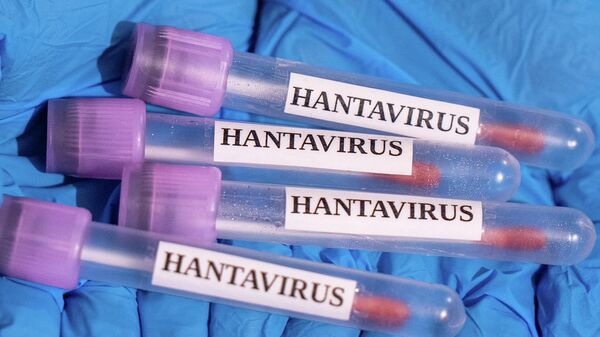 Hantavirüs - Sputnik Türkiye