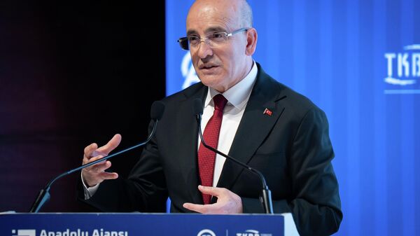 Hazine ve Maliye Bakanı Mehmet Şimşek - Sputnik Türkiye