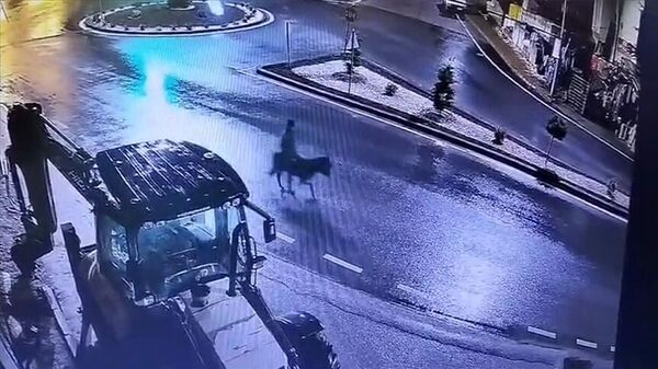 Kayseri'de kuyumcuyu soyup eşekle kaçan sanığa 9 yıl ceza - Sputnik Türkiye