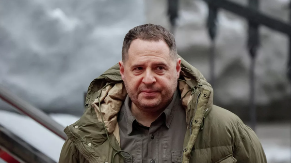 Eski Ukrayna Devlet Başkanlığı Ofisi Başkanı Andrey Yermak - Sputnik Türkiye