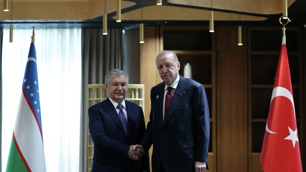 Cumhurbaşkanı Erdoğan, Özbekistan Cumhurbaşkanı Mirziyoyev ile görüştü - Sputnik Türkiye