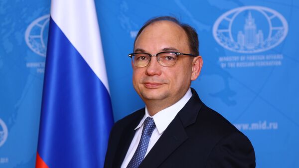 Директор Департамента экономического сотрудничества МИД РФ Дмитрий Биричевский - Sputnik Türkiye