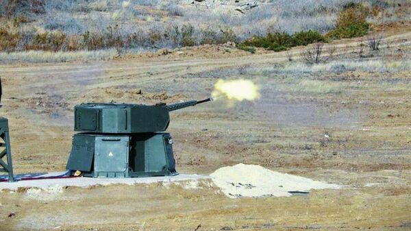 Rus yapımı yeni Citadel uçaksavar topçu sistemi - Sputnik Türkiye