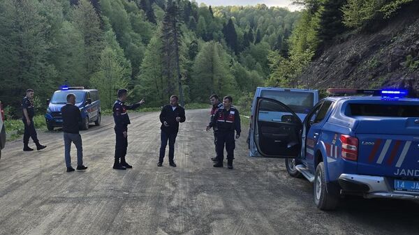 Düzce'de yayla yolundaki ormanlık alanda erkek cesedi bulundu - Sputnik Türkiye