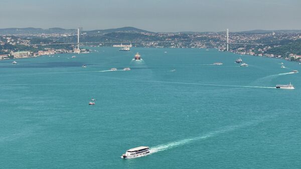 İstanbul - Sputnik Türkiye