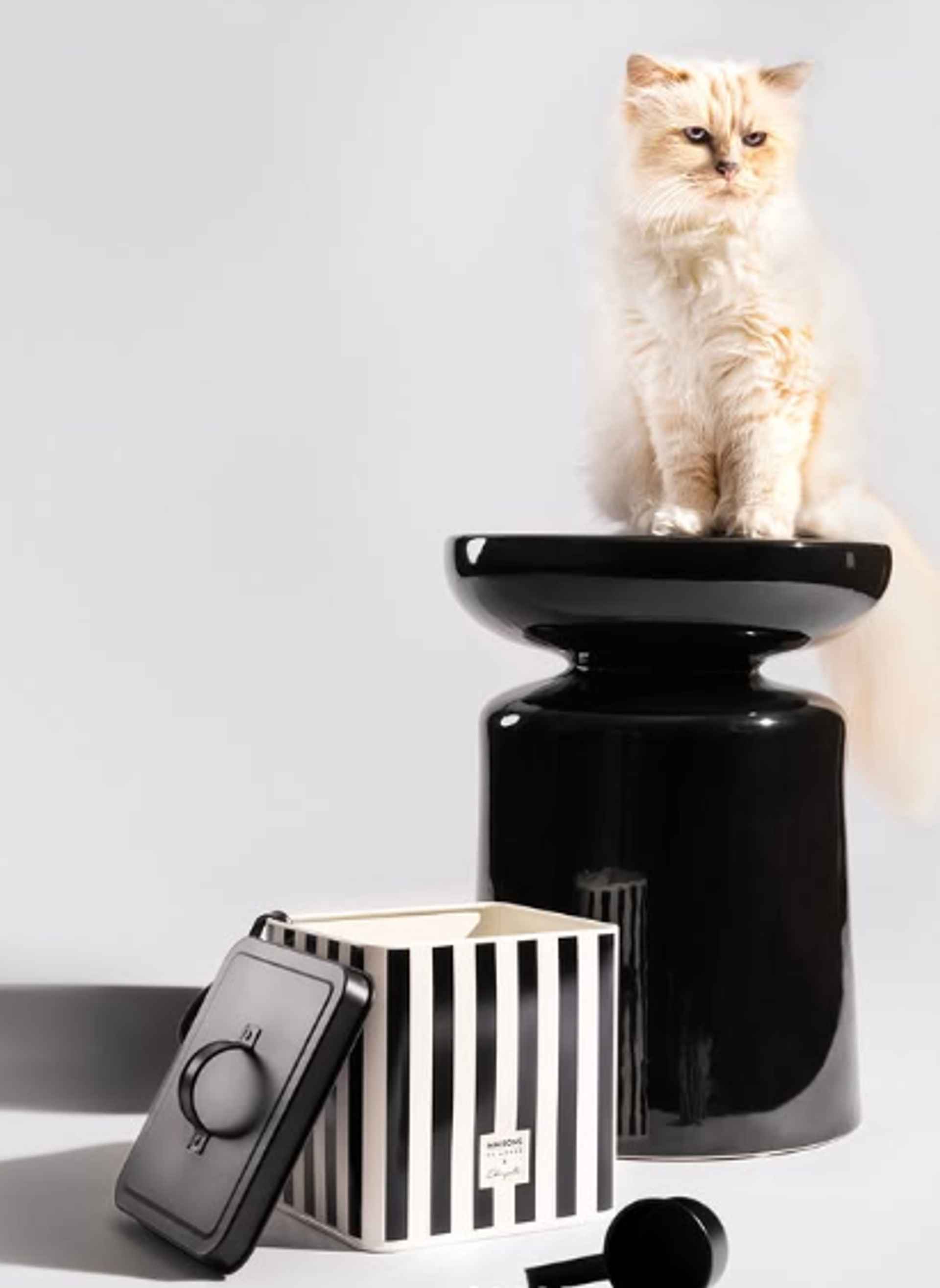 Karl Lagerfeld'in kedisi Choupette
 - Sputnik Türkiye, 1920, 02.06.2026