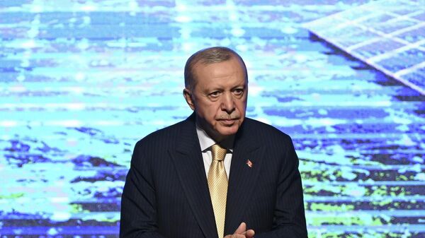 Cumhurbaşkanı Recep Tayyip Erdoğan
 - Sputnik Türkiye