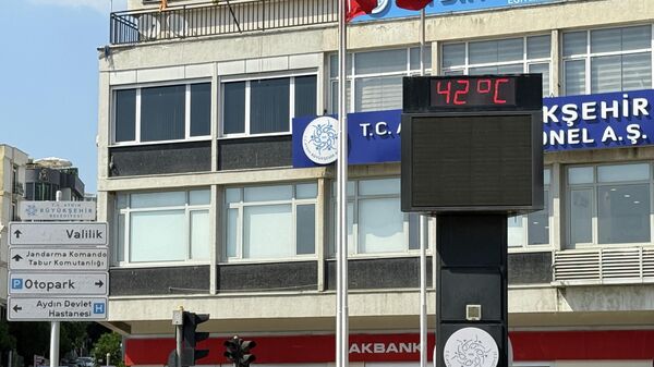 Aydın'da termometre 42 dereceyi gösterdi - Sputnik Türkiye