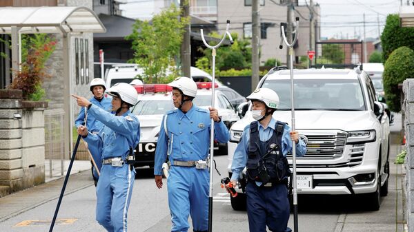 Japonya'da eşi görülmemiş ayı alarmı: 94 okulda eğitime ara verildi - Sputnik Türkiye