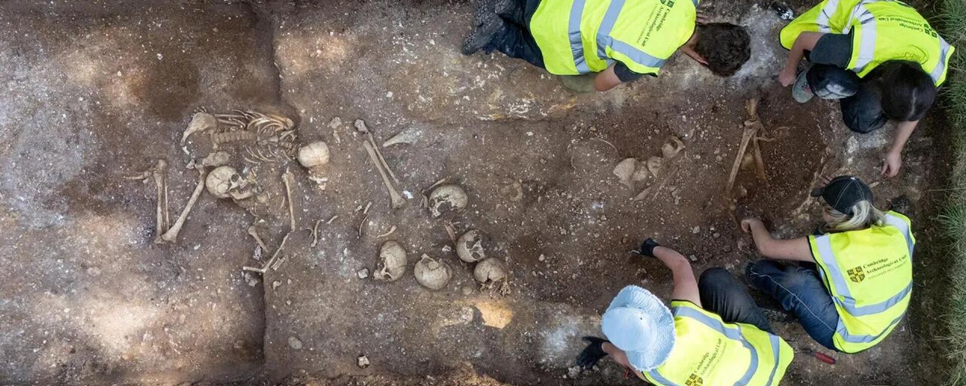 University of Cambridge archaeology students excavated a mass grave from the ninth century. - Sputnik Türkiye, 1920, 12.06.2026