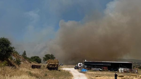 Çanakkale'nin Ezine ilçesinde bozuk orman alanında çıkan yangına havadan ve karadan müdahale ediliyor. - Sputnik Türkiye