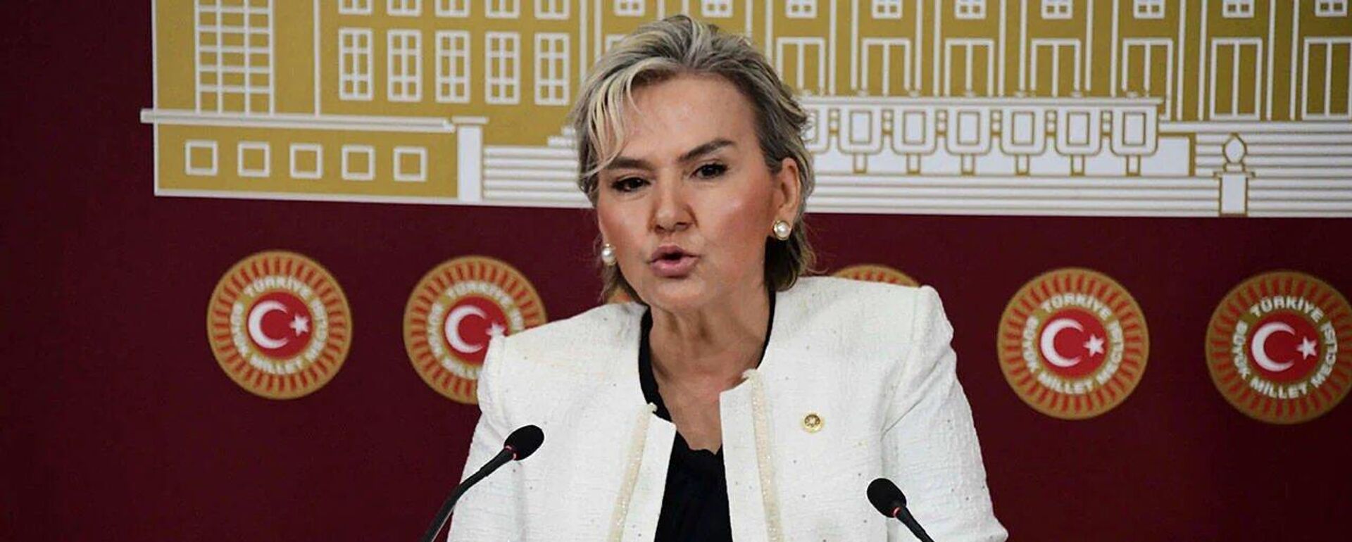 Nimet Özdemir - Sputnik Türkiye, 1920, 17.06.2026