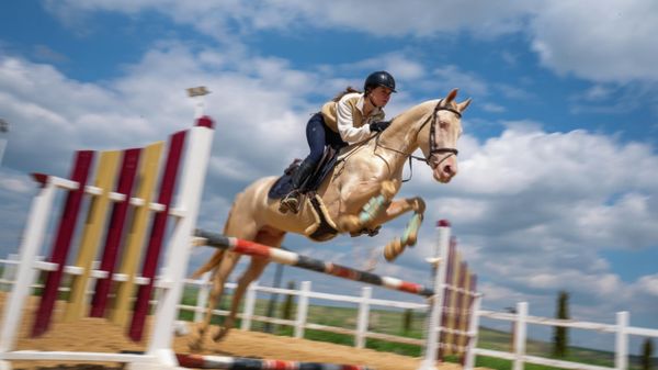 Ahal Teke Atları  - Sputnik Türkiye