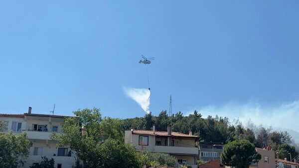 Orman yangını - Sputnik Türkiye