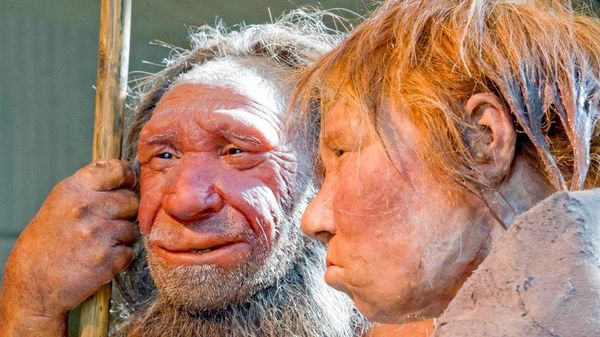 Almanya'daki Neanderthal müzesinden N ve Wilma isimli temsili Neanderthal heykelleri - Sputnik Türkiye