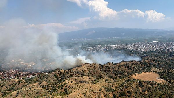 Aydın'da zeytinlik yangını - Sputnik Türkiye