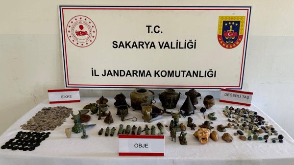 Sakarya'da kaçak kazı operasyonu - Sputnik Türkiye