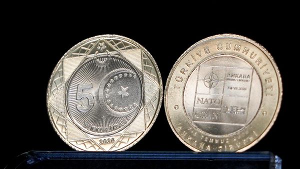 Özel tasarımlı 5 lira - Sputnik Türkiye