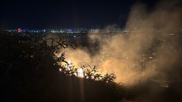 İzmir'in Çiğli ilçesinde yangın - Sputnik Türkiye