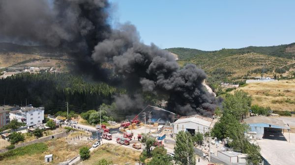 Kocaeli  - Sputnik Türkiye
