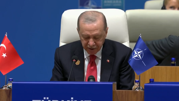 Cumhurbaşkanı Erdoğan - Sputnik Türkiye
