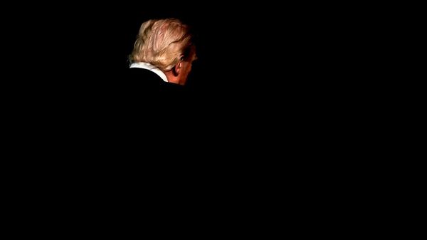 Donald Trump - Sputnik Türkiye