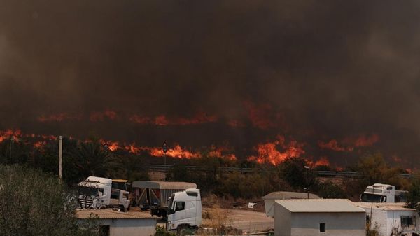 İspanya'da orman yangını - Sputnik Türkiye