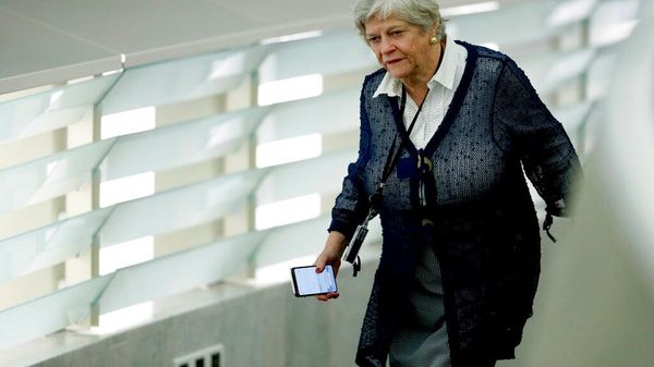 Ann Widdecombe - Sputnik Türkiye