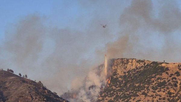 Pamukkale yakınlarındaki ormanlık alanda çıkan yangına müdahale edildi - Sputnik Türkiye