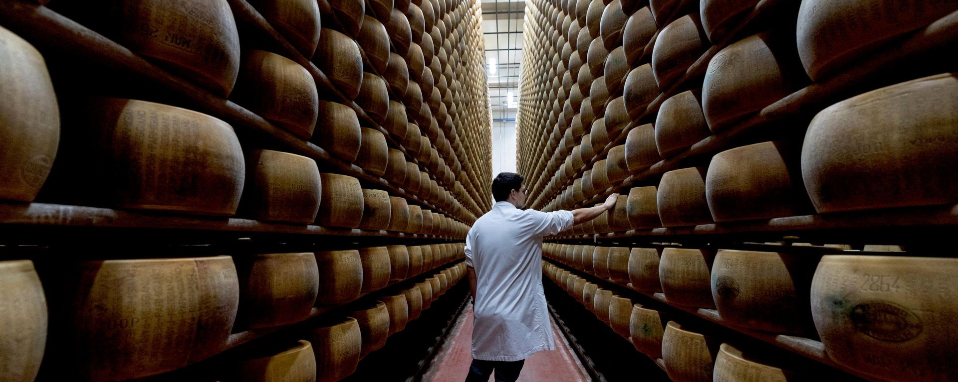 Parmesan peyniri - Sputnik Türkiye, 1920, 13.07.2026