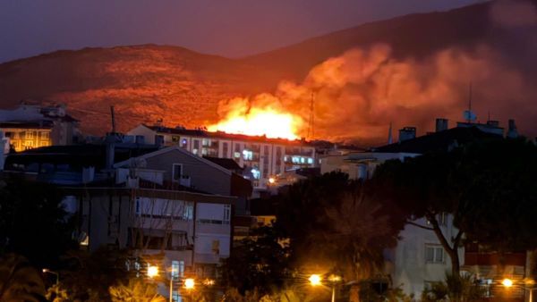 Balıkesir'in Erdek ilçesinde yıldırımın isabet etmesiyle alev alan ağaçlardaki yangın, itfaiye ekiplerinin müdahalesiyle söndürüldü - Sputnik Türkiye